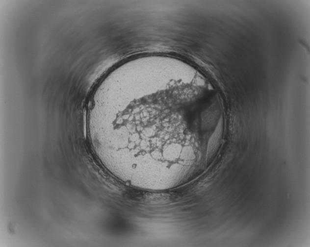 X0000103141171200809121747