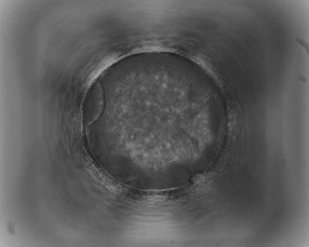 X0000103141173200809121747