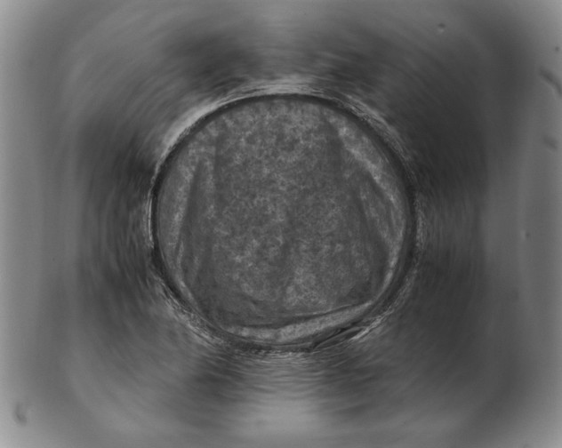 X0000103141174200809121747