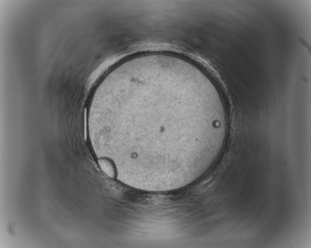 X0000103141175200809121747