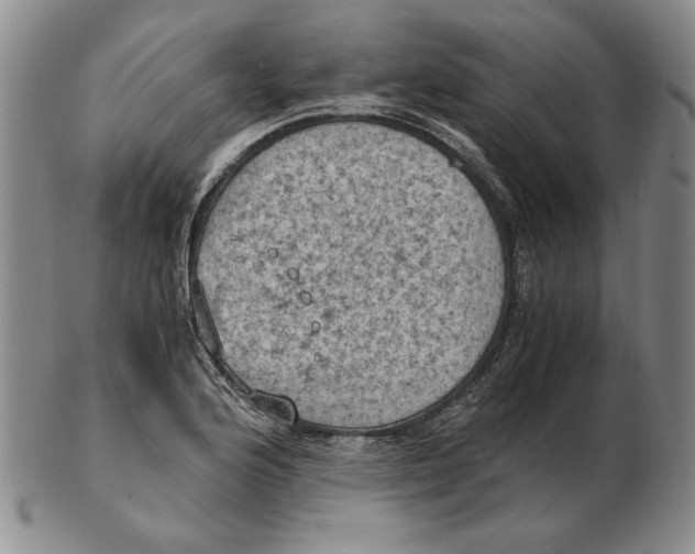 X0000103141176200809121747