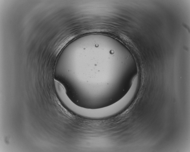 X0000103141177200809121747