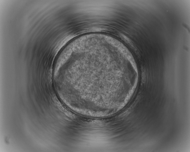 X0000103141178200809121747