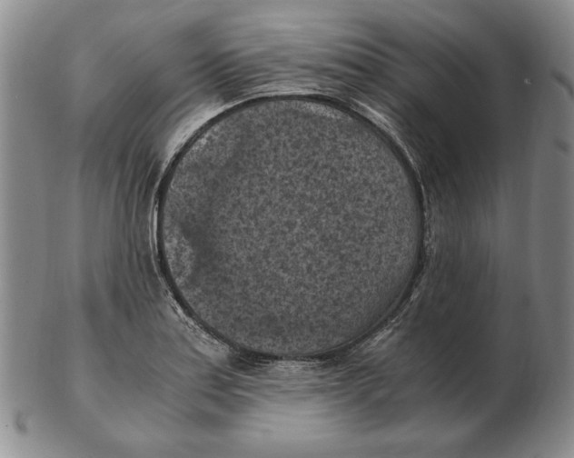 X0000103141179200809121747