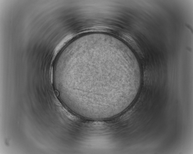 X0000103141180200809121747