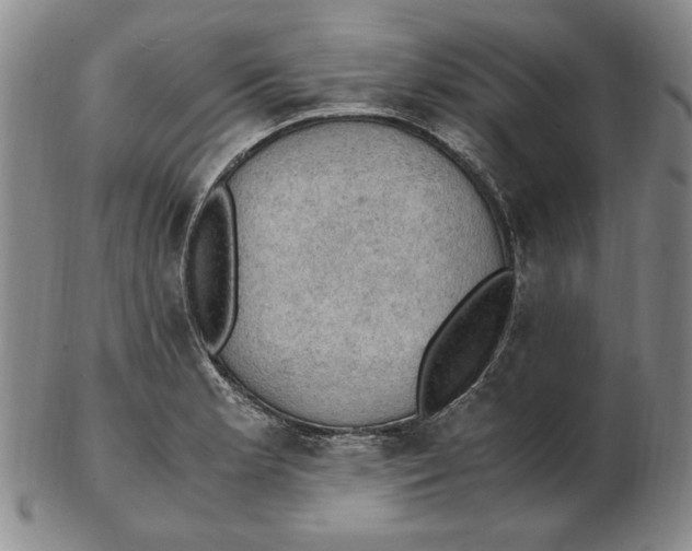 X0000103141181200809121747