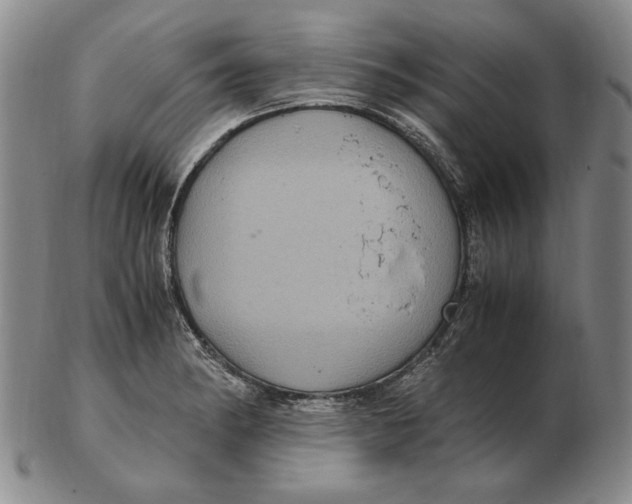 X0000103141182200809121747