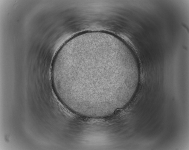 X0000103141183200809121747