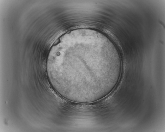 X0000103141185200809121747