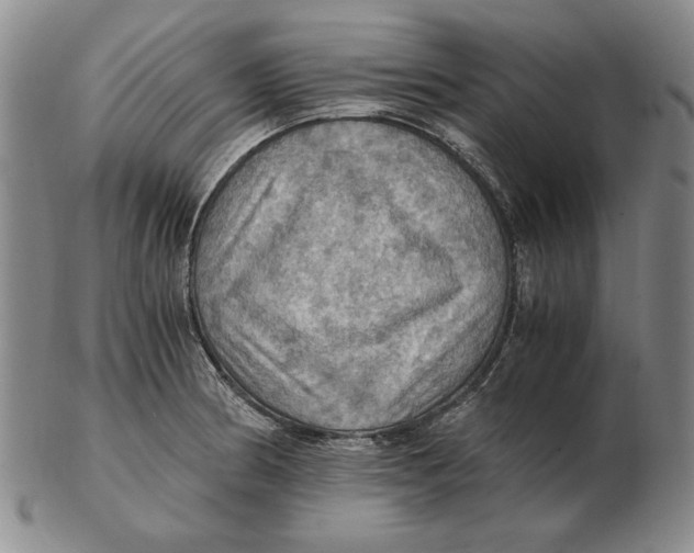 X0000103141186200809121747