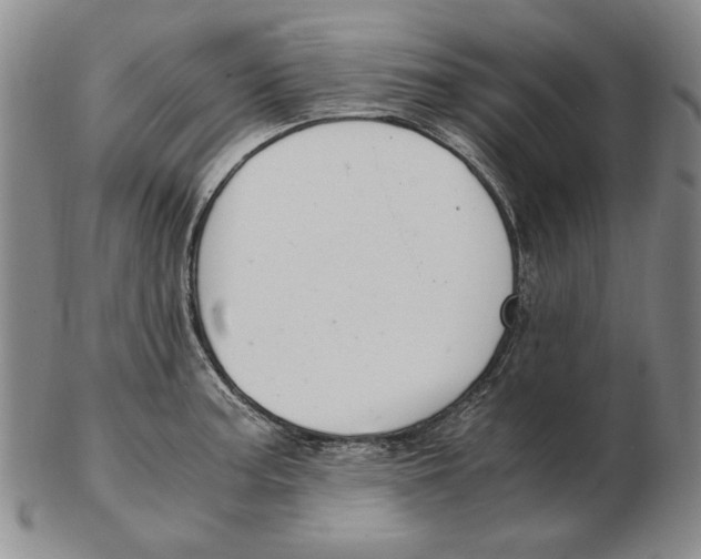 X0000103141187200809121747