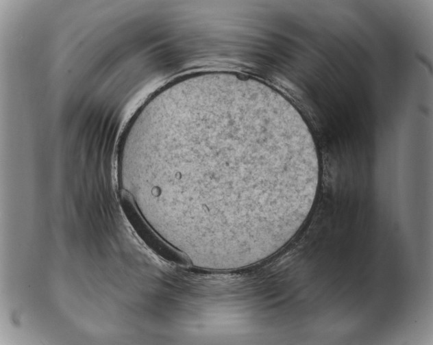 X0000103141188200809121747