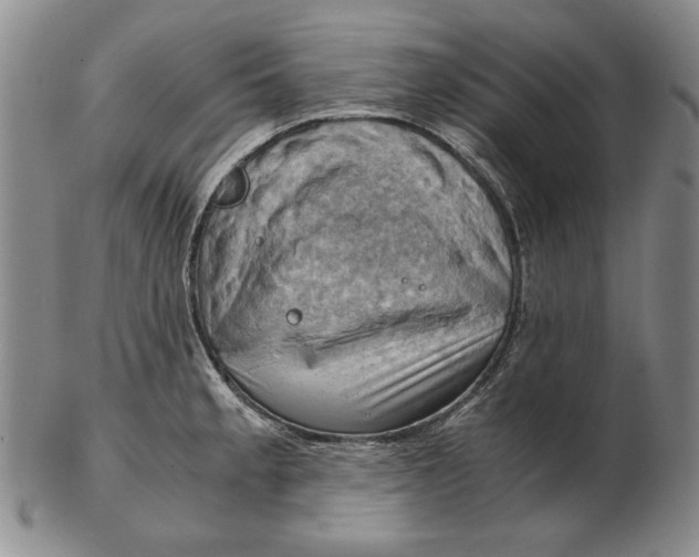 X0000103141189200809121747