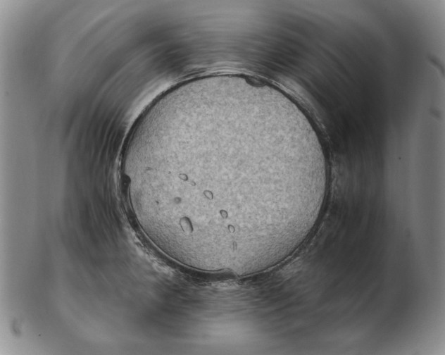 X0000103141190200809121747