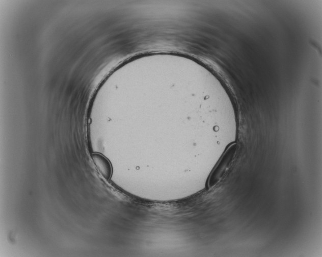 X0000103141191200809121747