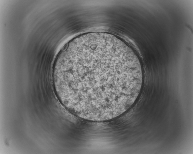 X0000103141192200809121747