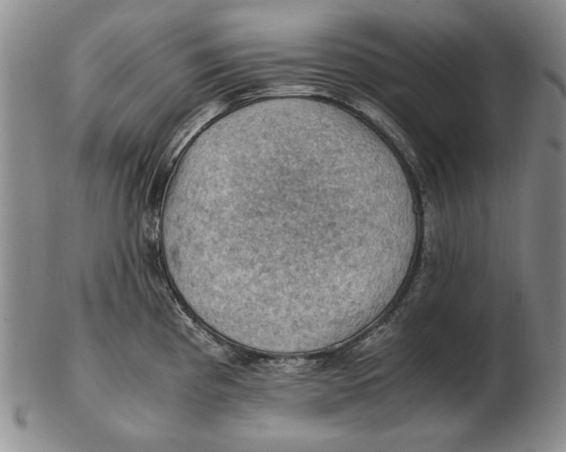 X0000103141193200809121747