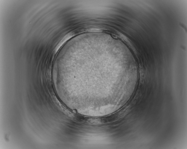 X0000103141194200809121747