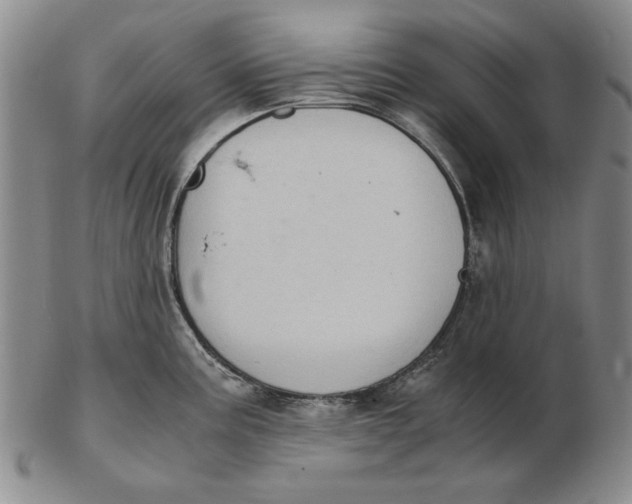 X0000103141195200809121747