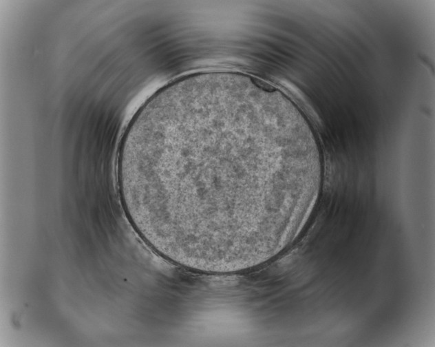 X0000103141196200809121747