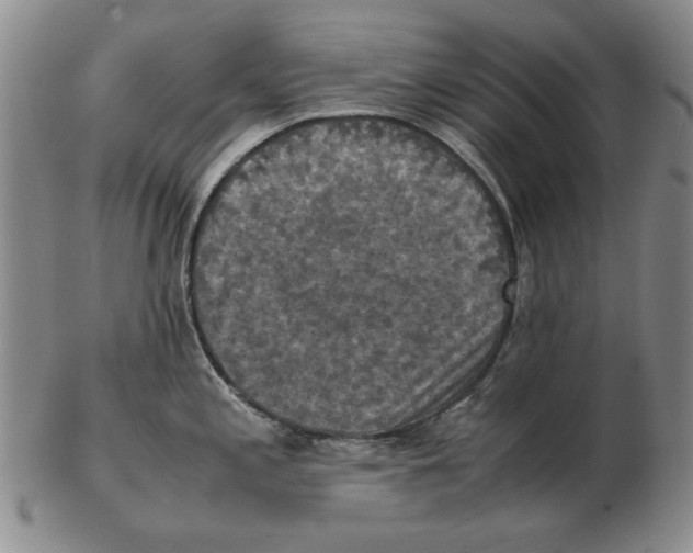 X0000103141197200809121747