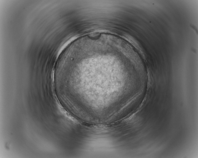 X0000103141198200809121747