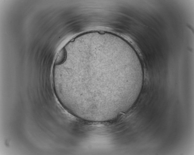 X0000103141199200809121747