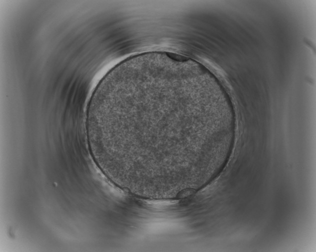 X0000103141200200809121747