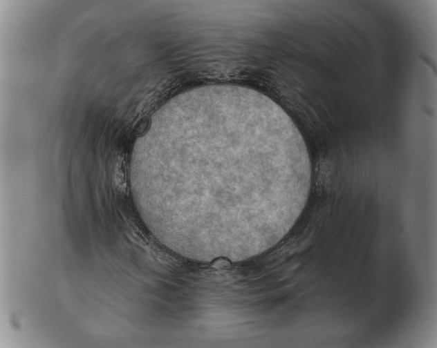 X0000103141202200809121746