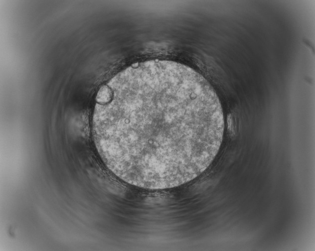 X0000103141203200809121746