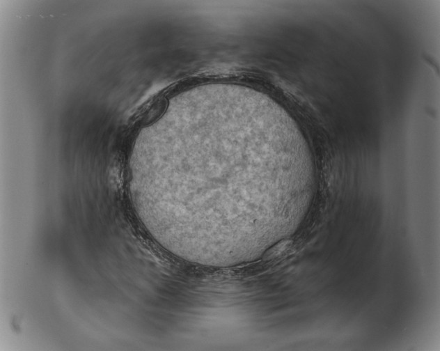 X0000103141206200809121746