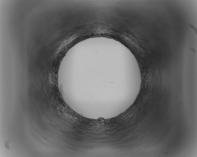 X0000103141207200809121746