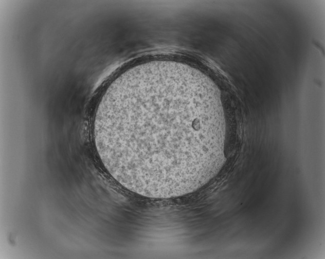 X0000103141208200809121746