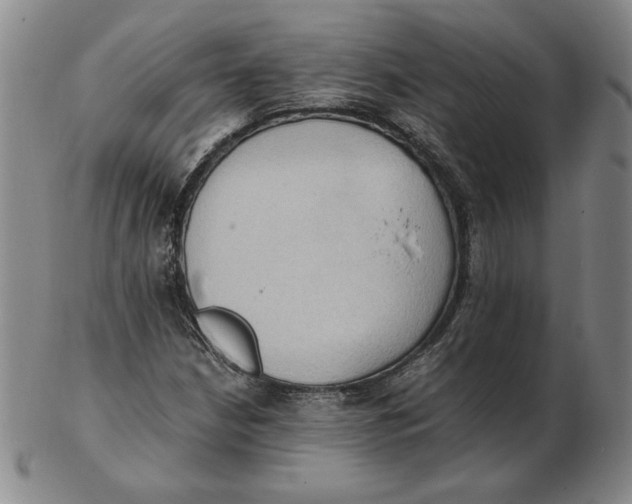 X0000103141210200809121746