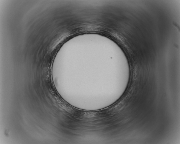 X0000103141211200809121746