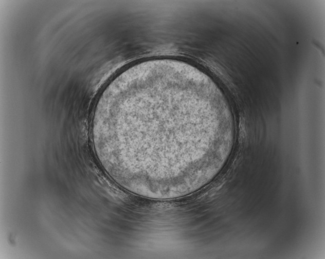 X0000103141212200809121746