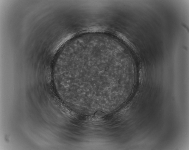 X0000103141213200809121746