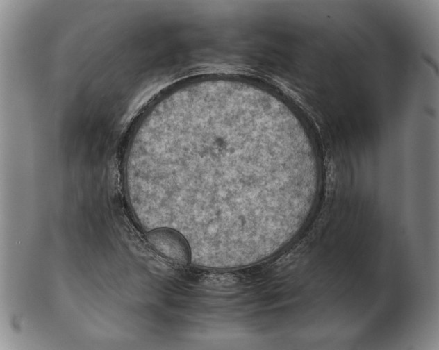 X0000103141215200809121746