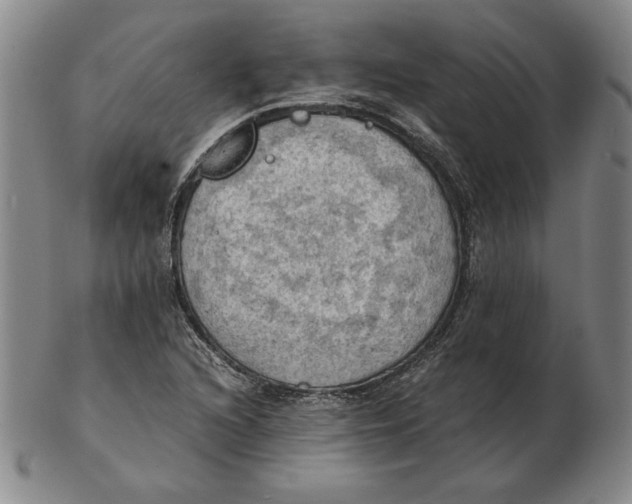 X0000103141216200809121746