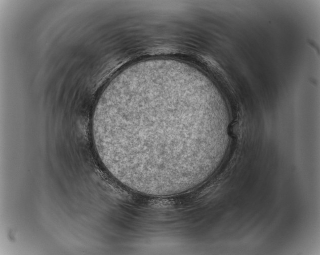 X0000103141217200809121746