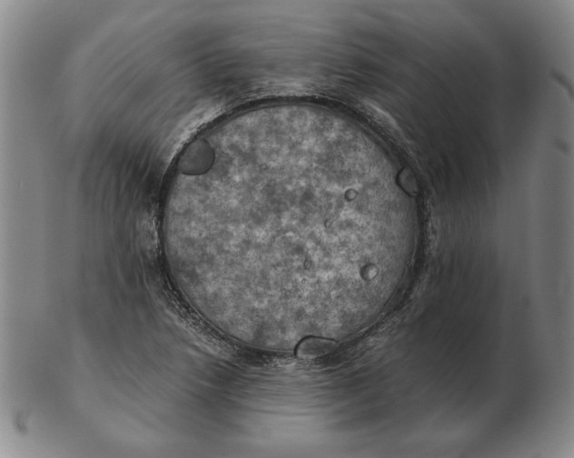 X0000103141218200809121746