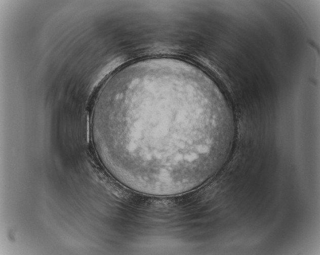 X0000103141219200809121746