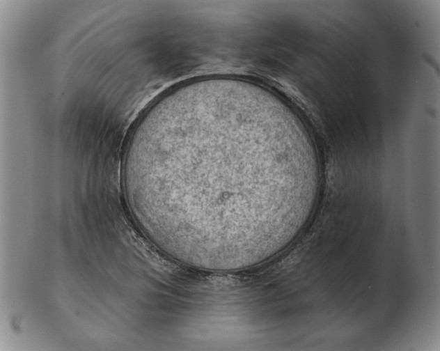 X0000103141220200809121746