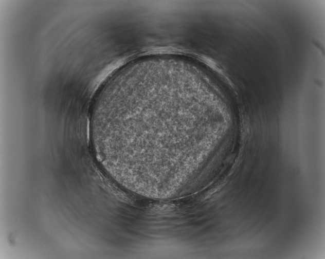 X0000103141221200809121746