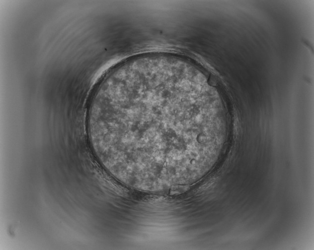 X0000103141222200809121746