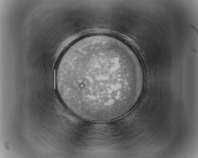 X0000103141223200809121746