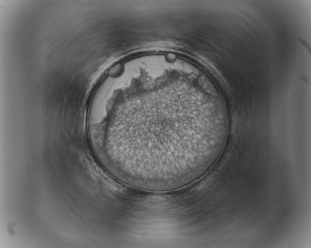 X0000103141224200809121746