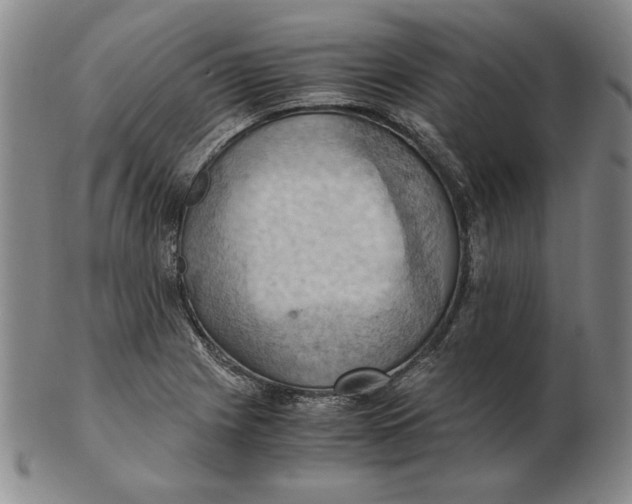 X0000103141225200809121746