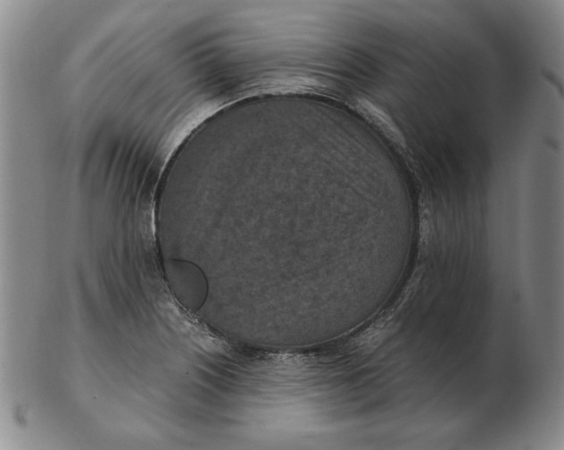 X0000103141226200809121746