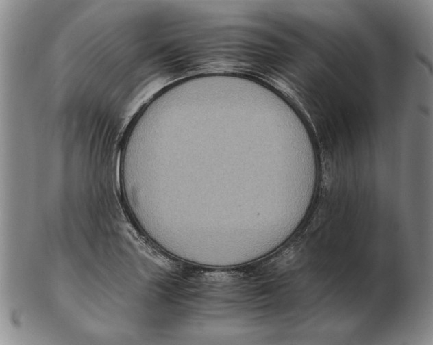 X0000103141227200809121746